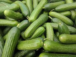 File:Persian cucumbers at Campbell farmer's market.jpg - Wikimedia ...